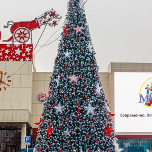 Сосна каркасная «Уральская», зелёная с белыми кончиками, высота 4–30 м