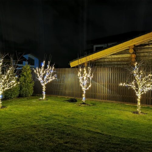 IMG-20221129-WA0000