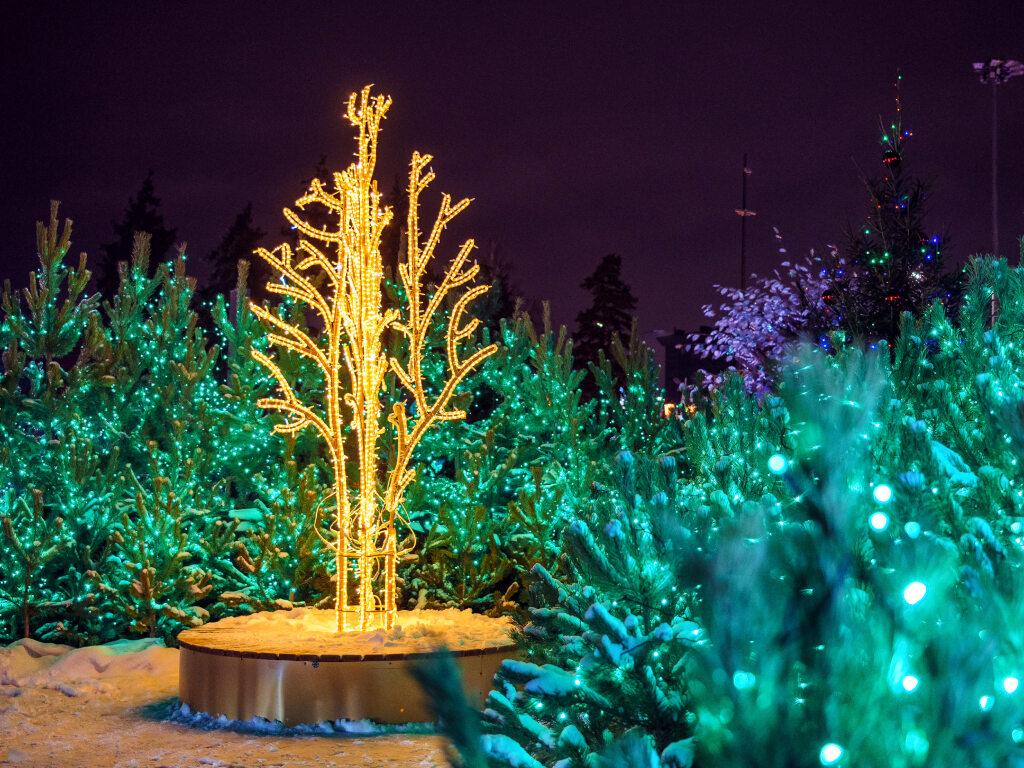 Украшенный к Новому 2026 Году городской парк – работу выполнили специалисты компании JOYLED