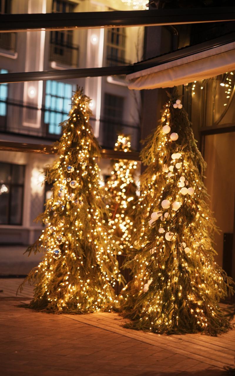 Праздничное украшение деревьев гирляндами – заказать световое новогоднее оформление от JOYLED