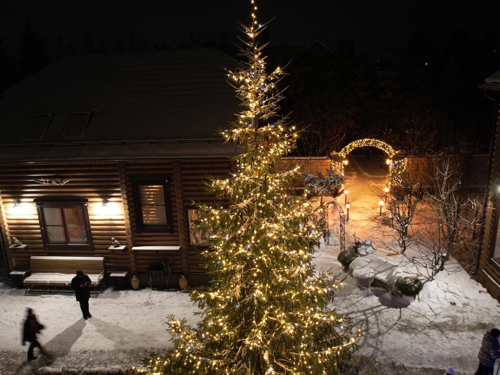 Украшение новогодними гирляндами уличных елей – заказать световое оформление домов и участков к Новому Году от JOYLED