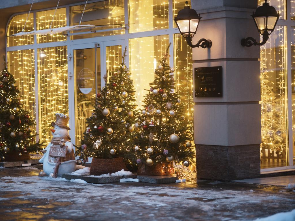 Светодиодные гирлянды клиплайт для улиц и деревьев – новогодние LED гирлянды от компании JOYLED