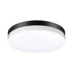 Светильник ландшафтный светодиодный настенно-потолочного монтажа NOVOTECH STREET OPAL 358886, LED, 30W, IP54