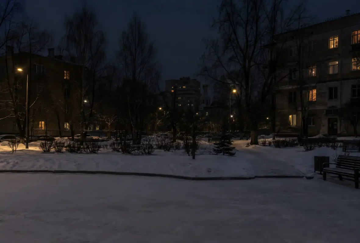Деревья теряются в тёмное время суток